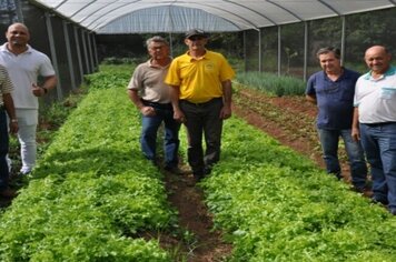 VEREADORES PARTICIPAM DO RETORNO DA DISTRIBUIÇÃO DE ALIMENTOS NA CHÁCARA MUNICIPAL