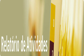 RELATÓRIO DAS ATIVIDADES DESENVOLVIDAS PELA CÂMARA DURANTE 2013.