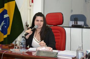 Foto - 8ª Sessão Ordinária de 2022