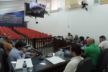 Foto - 29ª Sessão Extraordinária De 2025